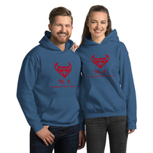 Load image into Gallery viewer, Unisex Hoodie